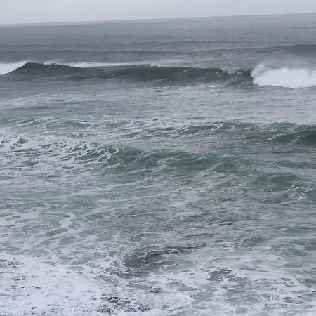 Next Level Surf Camp