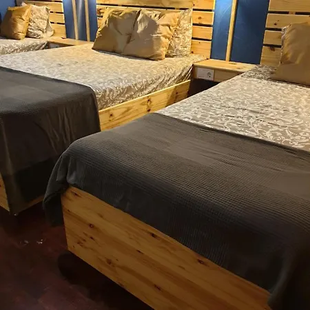 Next Level Surf Camp